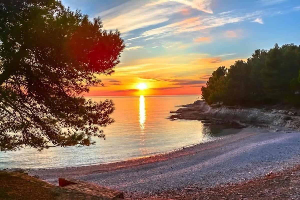 Studio Dama Blizina Amfiteatra I Bus Kolodvora ,Besplatan Privatni Parking,Self-Check- In Pula Luaran gambar